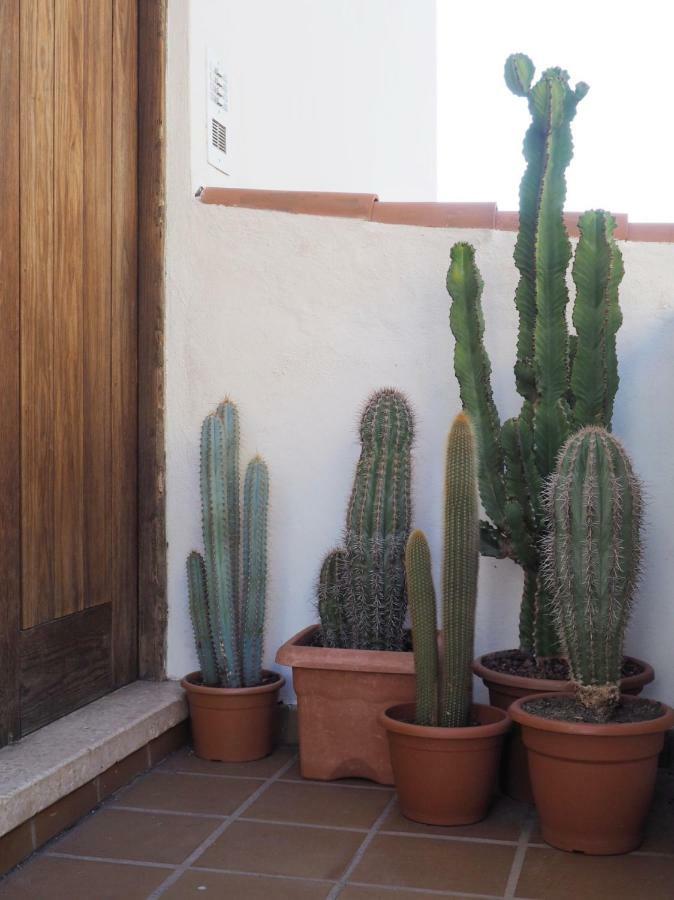 Casa Alejandro Las Vistas อาโรนา ภายนอก รูปภาพ